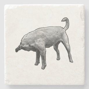 Small Sniff, Big Smile Stone Coaster