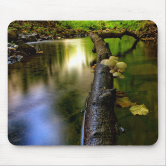 Small stream mushrooms in Bowden Burn Mouse Pad