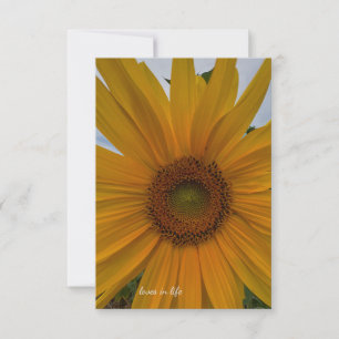 Small Sunflower Card