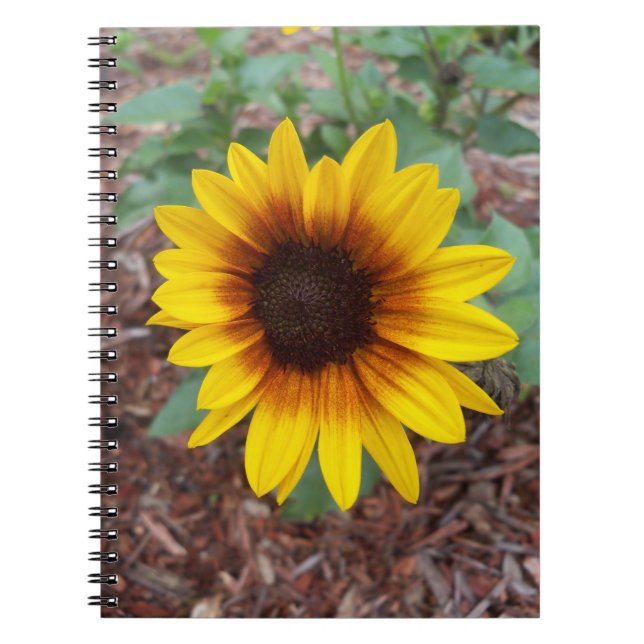Small sunflower on a Notebook (Front)