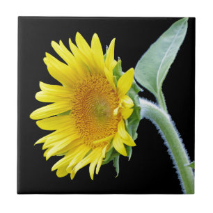 Small Sunflower Tile