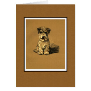 Small Terrier Puppy Dog