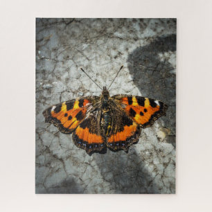 Small Tortoiseshel Butterfly  Jigsaw Puzzle