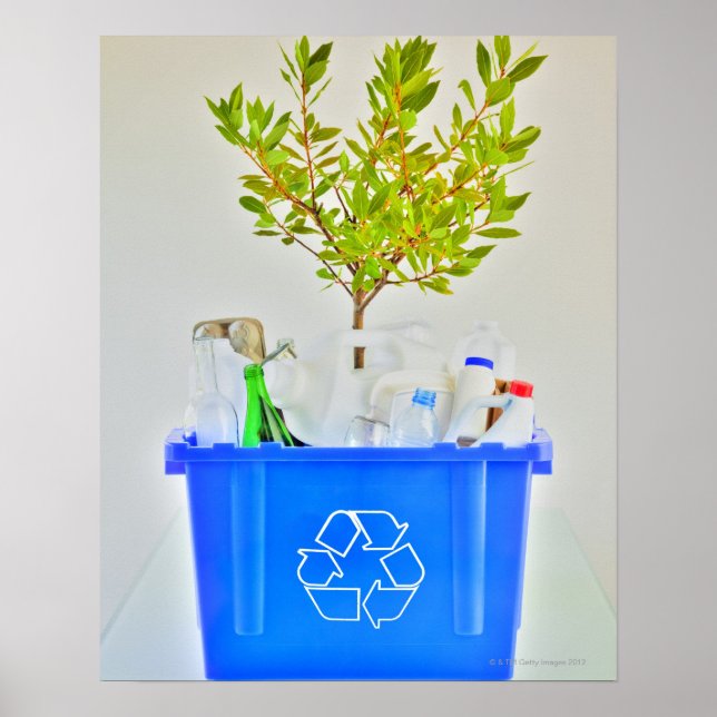 Small tree poster (Front)