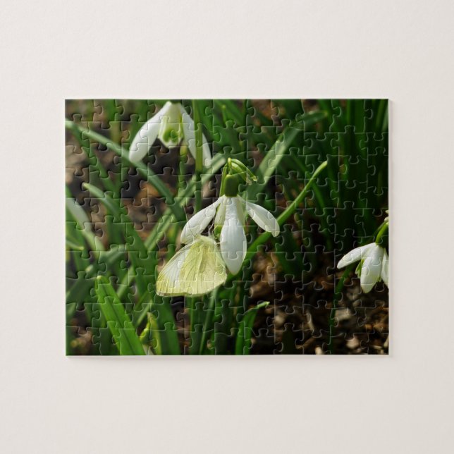 Small White and Snowdrop Jigsaw Puzzle (Horizontal)