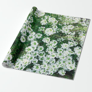 Small white flowers in the grass in the daytime in wrapping paper