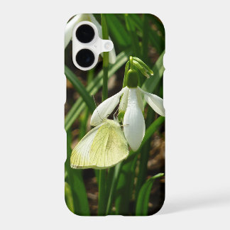 Small White on Snowdrop