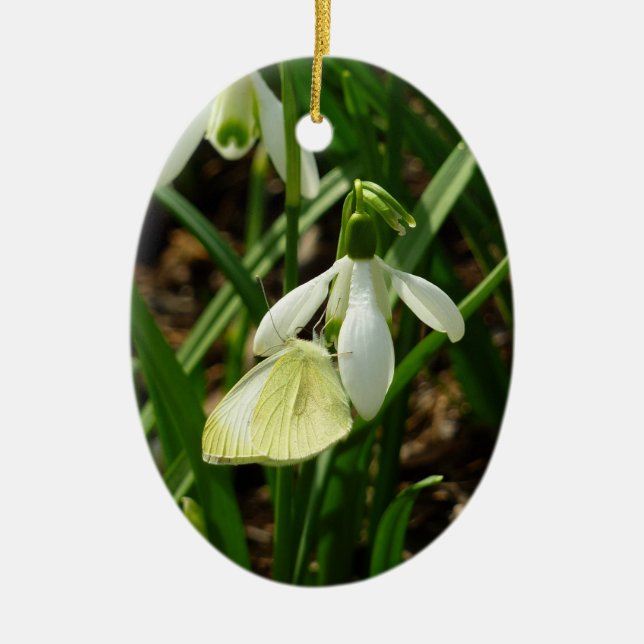 Small White on Snowdrop Ceramic Tree Decoration (Front)