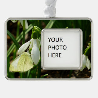 Small White on Snowdrop Silver Plated Framed Ornament