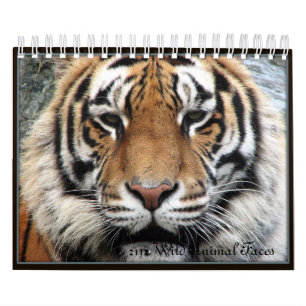 Small Wild Animal Faces Calendar 2012