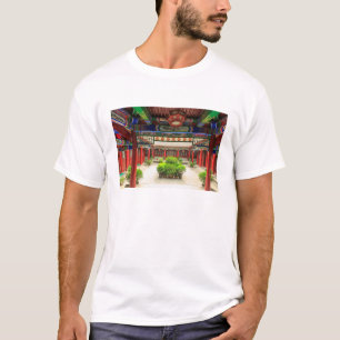 Small Wild Goose Temple, China T-Shirt