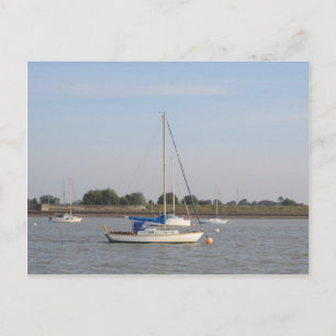 Small Yachts Postcard
