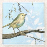 Small Yellow Bird Perched on a Branch Looking up