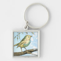 Small Yellow Bird Perched on a Branch Looking up
