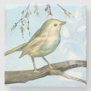 Small Yellow Bird Perched on a Branch Looking up Stone Coaster