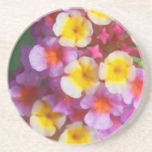 Small Yellow Pink and Purple Tropical Flowers Coaster