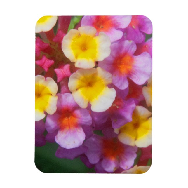 Small Yellow Pink and Purple Tropical Flowers Magnet (Vertical)