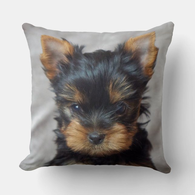 Small yorkie cushion (Front)