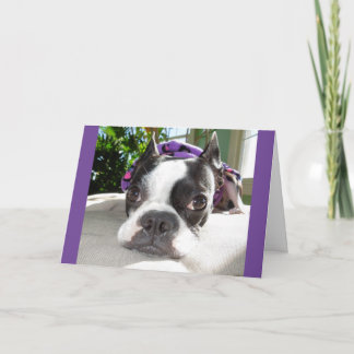 Smallish Nap... or TWO! Lola B. Boston Card