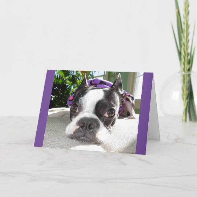 Smallish Nap... or TWO! Lola B. Boston Card (Front)