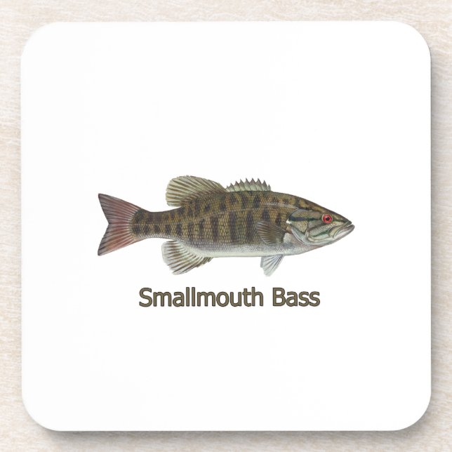 Smallmouth Bass Coaster (Front)