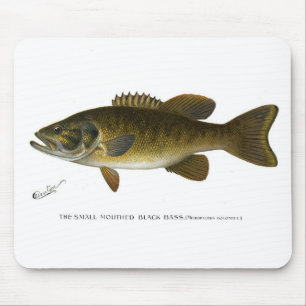 Smallmouth bass mouse pad