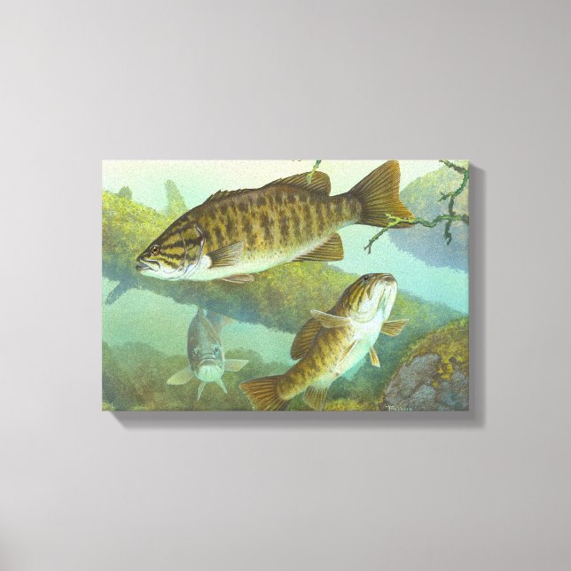 Smallmouth Bass Painting Canvas Print (Front)
