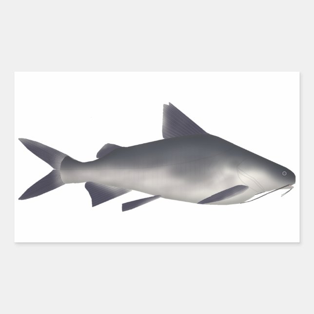 Smalltooth Catfish Rectangular Sticker (Front)