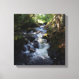 Smally Falls canvas print