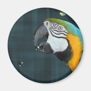 Smart Bird Magnet
