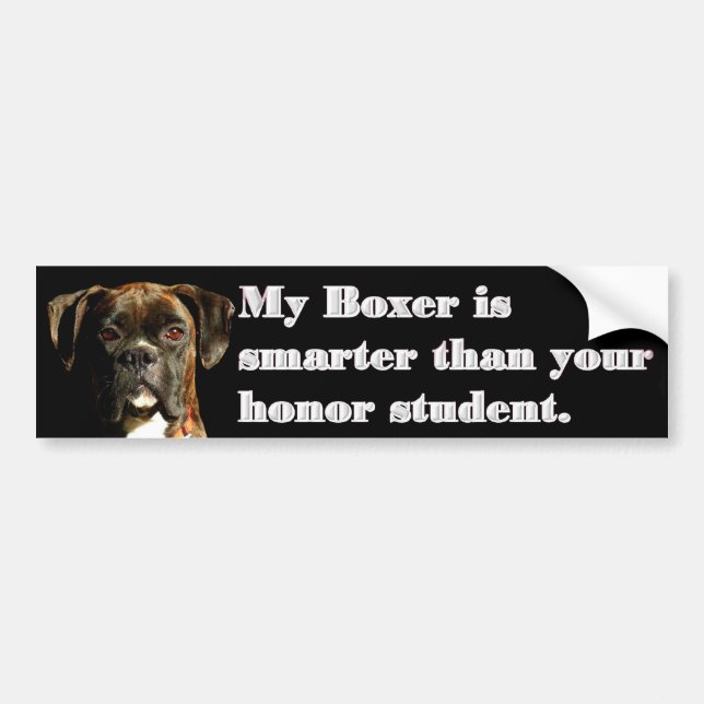 Smart boxer bumper sticker (Front)