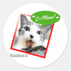 smart cat classic round sticker