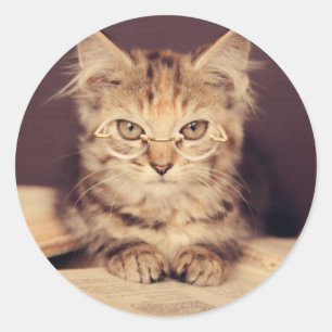 smart cat classic round sticker