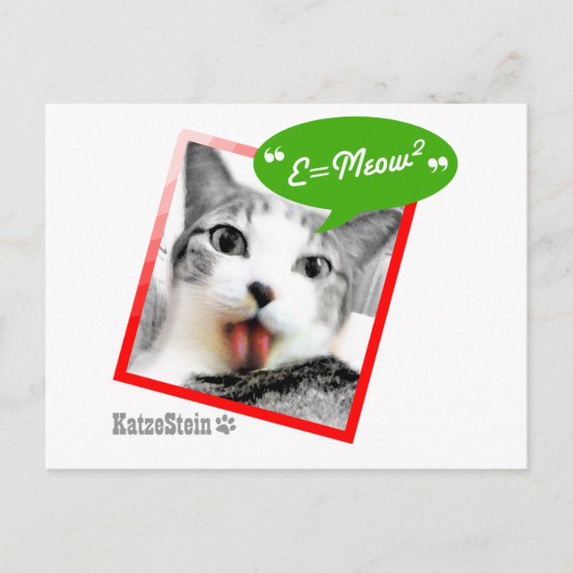 smart cat postcard (Front)
