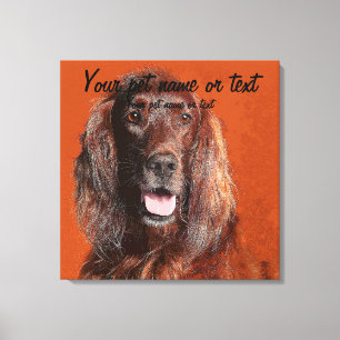Smart Irish Setter Dog Canvas Print