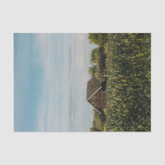 Smart Little Barn Cosied Up to a Cornfield Tissue Paper (Front)