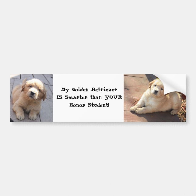 smarter than an honour student bumper sticker (Front)