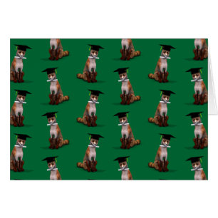 Smartest Fox In Town