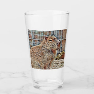 SmartMix Animal- Capybara Glass