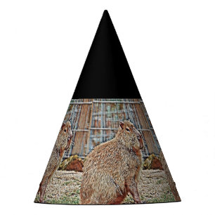 SmartMix Animal- Capybara Party Hat