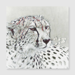 smartmix animal- cheetah
