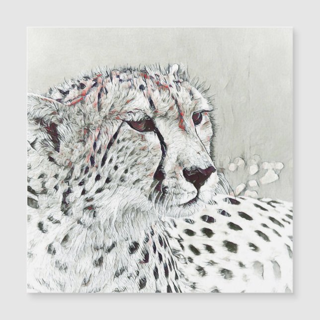 smartmix animal- cheetah (Front)