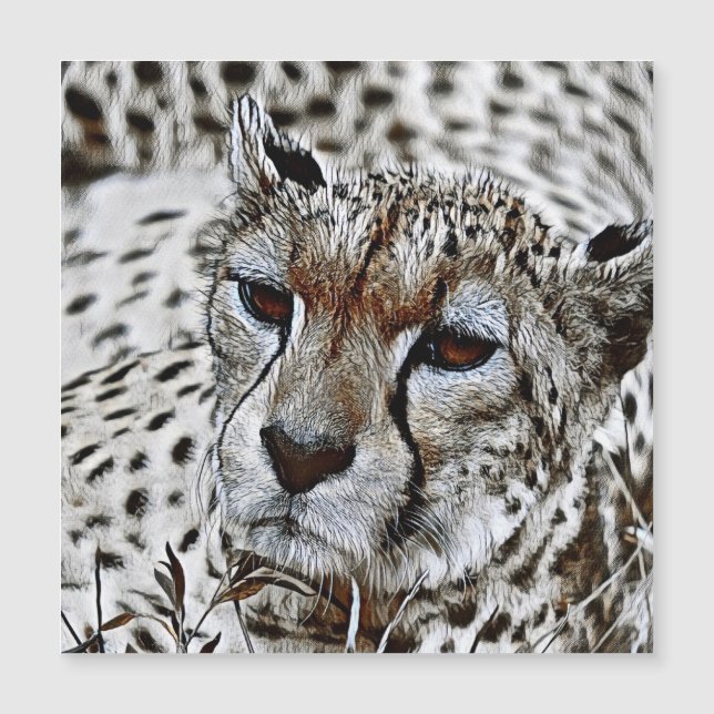 SmartMix Animal- Cheetah  2 (Front)