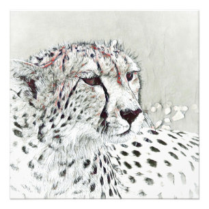 smartmix animal- cheetah photo print