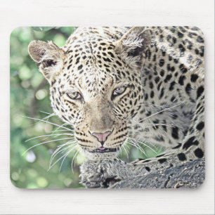 smartmix animal-leopard 2 mouse pad