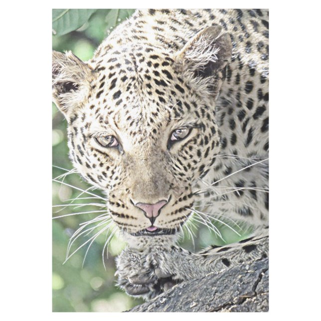 smartmix animal-leopard 2 tablecloth (Front)