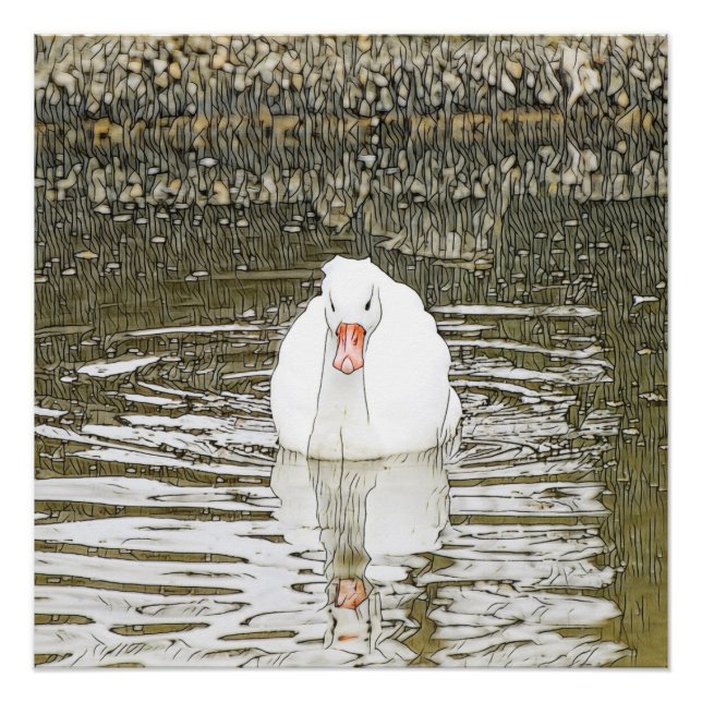 SmartMix Animal- Swan Poster (Front)