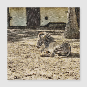 smartmix animal -zebra