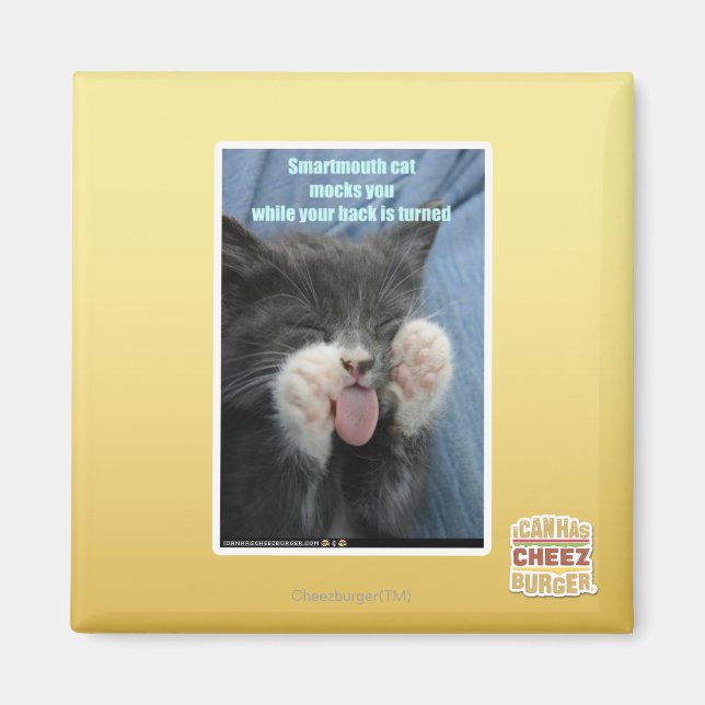 Smartmouth cat magnet (Front)