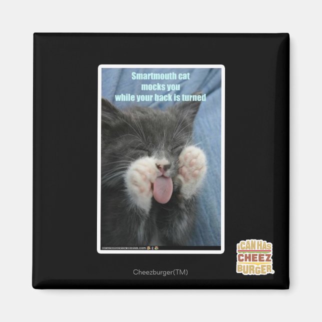 Smartmouth cat magnet (Front)